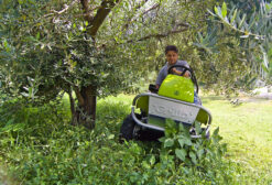 Grillo Ride on Brushcutter